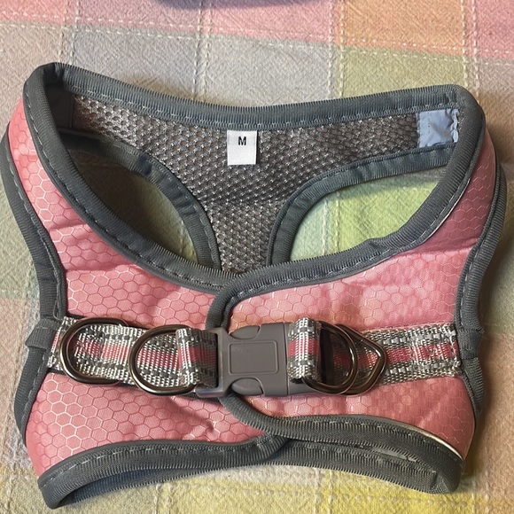 NWT dog harness set - Picture 5 of 6